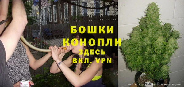 гидра Михайлов