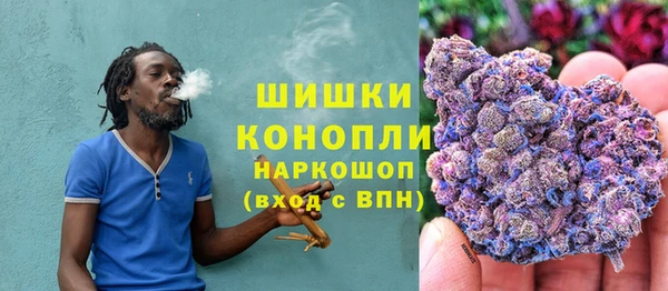 винт Арсеньев