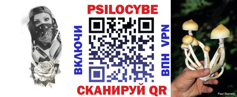 магазин Очёр Галлюциногенные грибы GOLDEN TEACHER